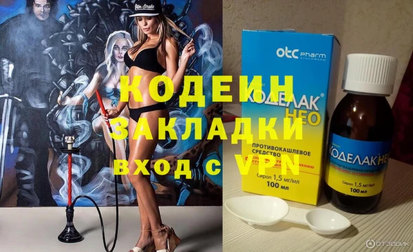 дживик Ельня