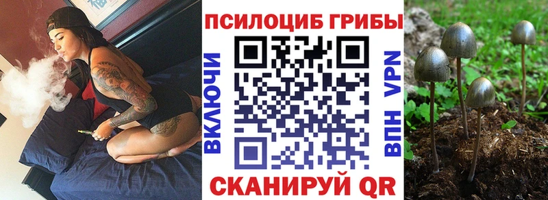 Галлюциногенные грибы Cubensis  kraken   Нижний Тагил  дарнет шоп 