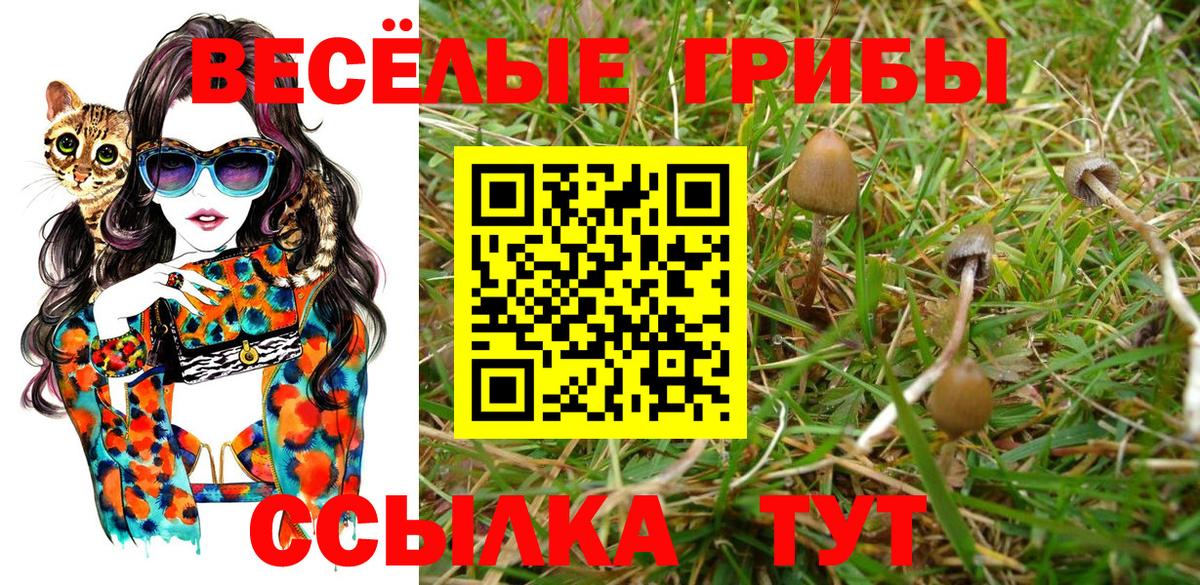 Псилоцибиновые грибы Psilocybine cubensis  Галлюциногенные грибы мухоморы  Вход с VPN  Нижний Тагил 